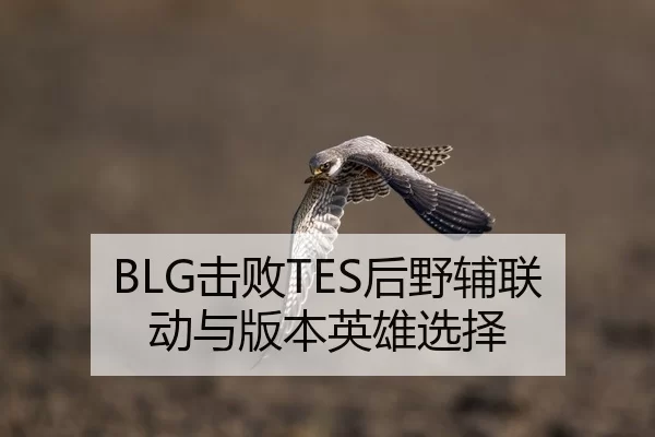 BLG击败TES后野辅联动与版本英雄选择