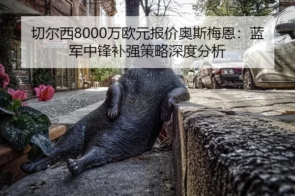 qie-er-xi-wan-ou-yuan-bao-jia-ao-si-mei-en-lan-jun-zhong-feng-bu-qiang-ce-lve-shen-du-fen-xi-2-392.jpg